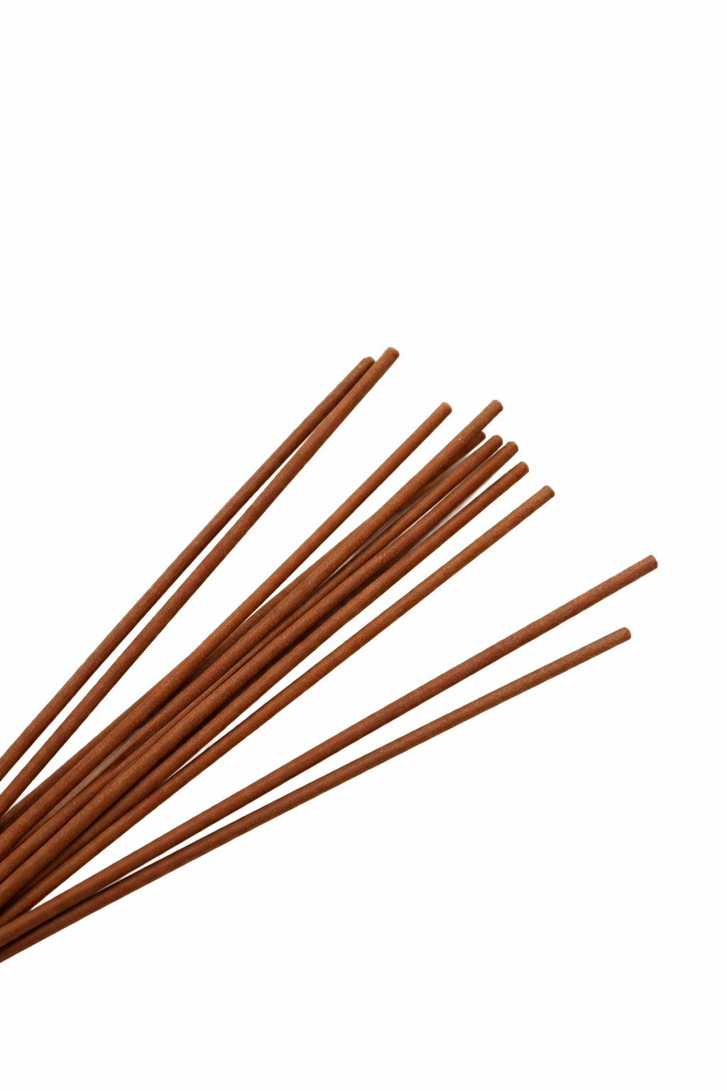 Sun Kissed – Tropical Coconut Incense Sticks